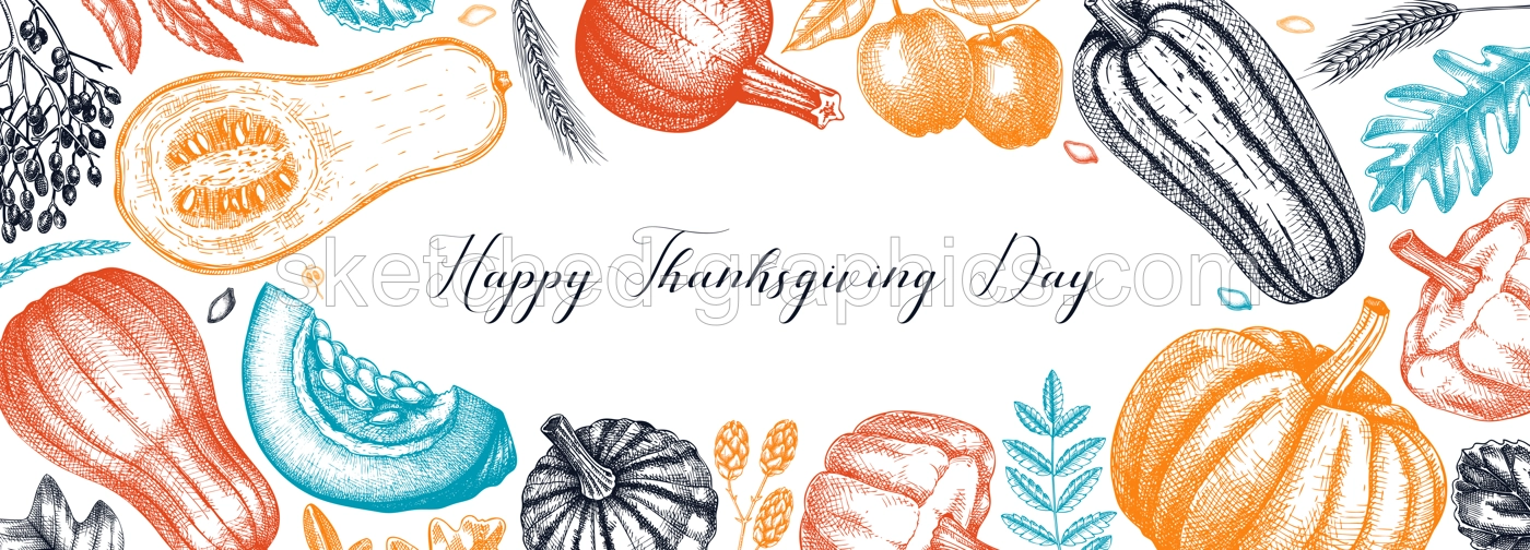 Thanksgiving background. Pumpkins sketches in color.  Autumn plants and fruit drawings. Vector vegetables, butternut squash, marrow, pumpkin sketches. Fall banner design. Harvest festival. Illustration